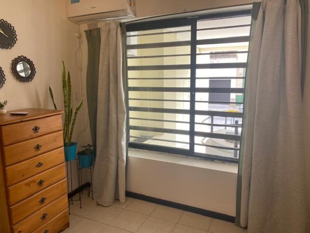 Mono Corrientes Apartment